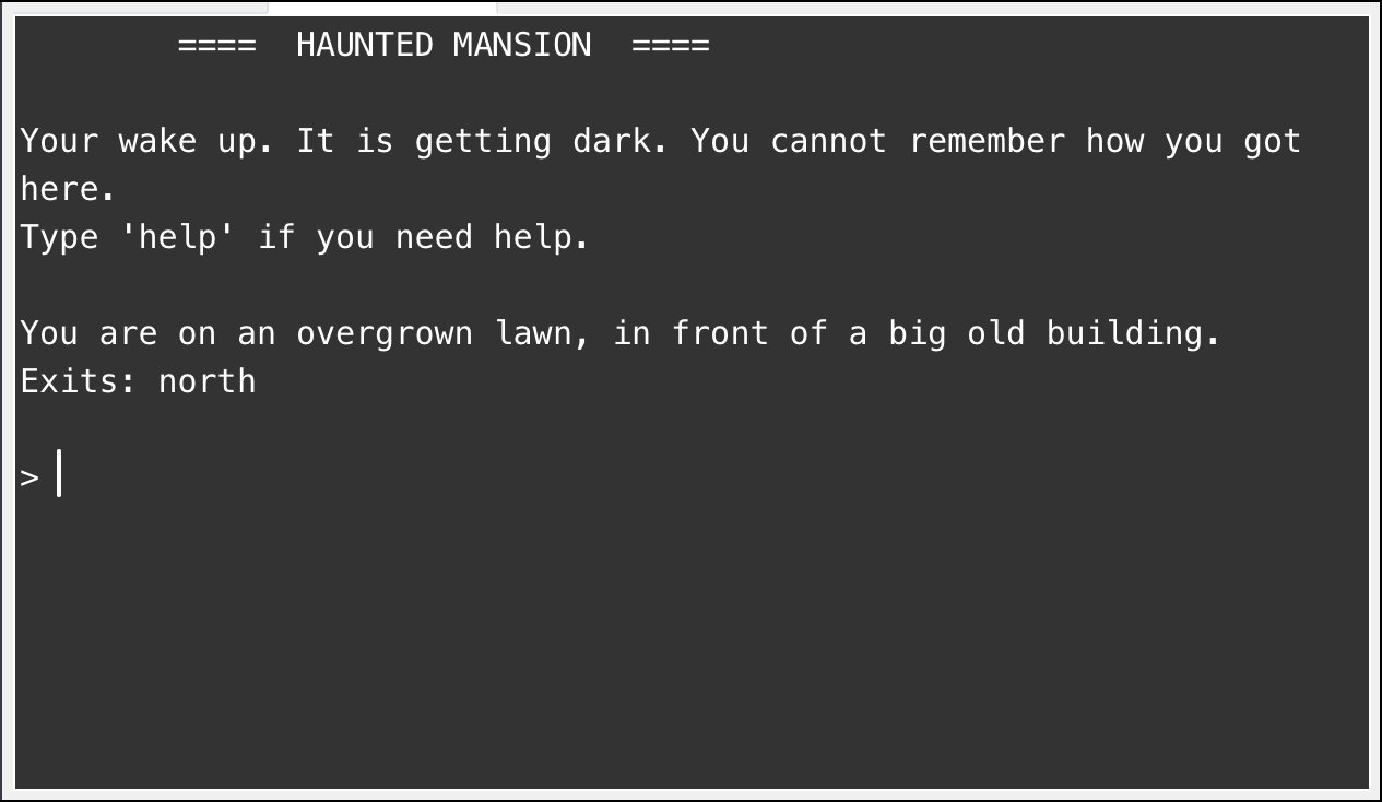 Screenshot of a text-based game