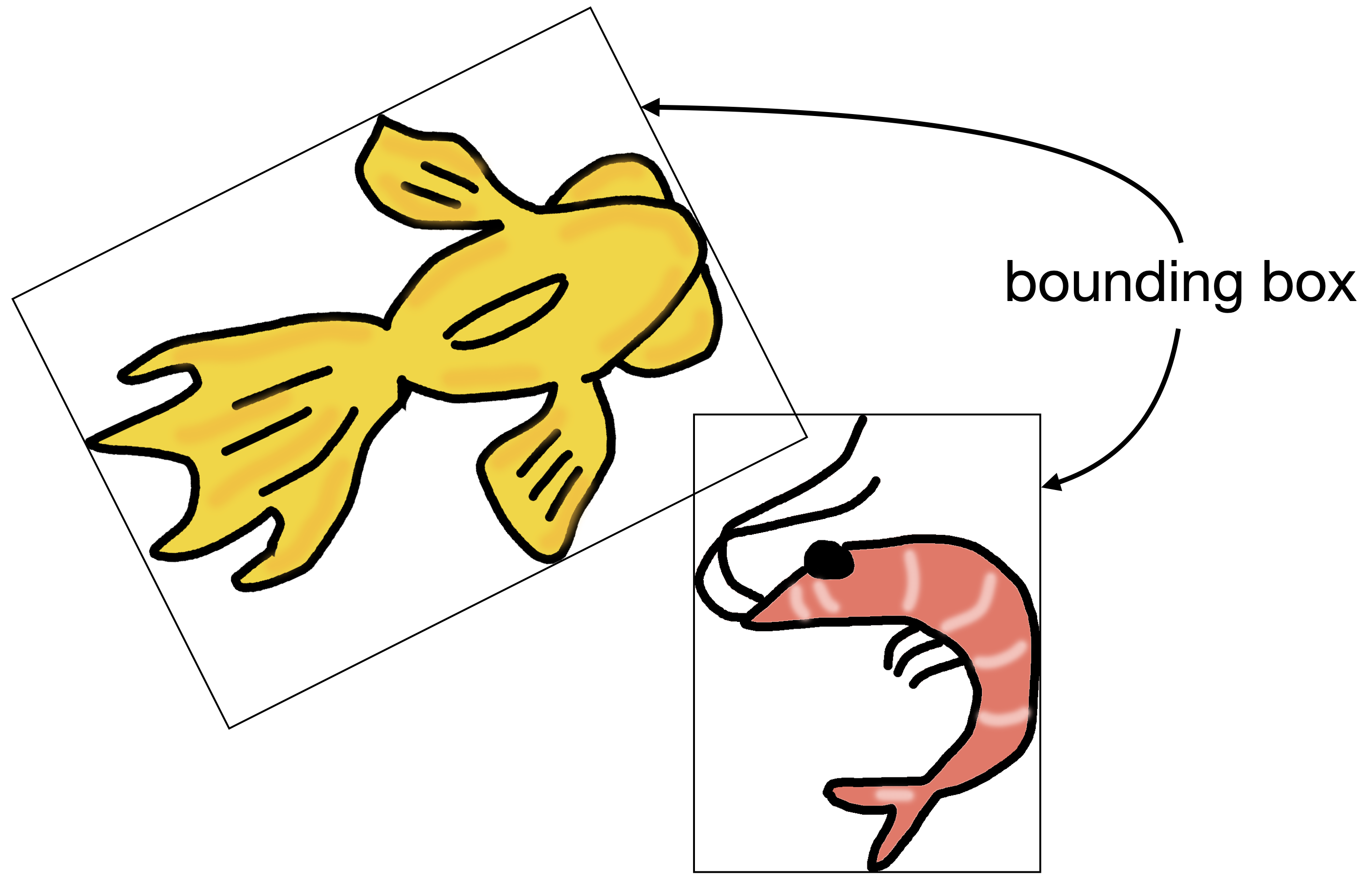 bounding box