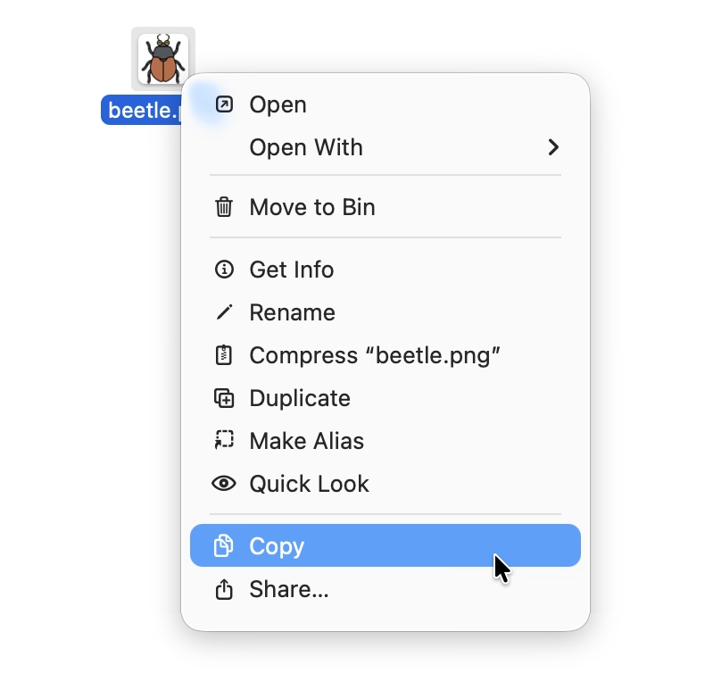 File context menu with Copy option